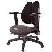 GXG 大網座 低雙背工學椅(摺疊升降扶手) TW-3075 E1