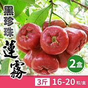 【家購網嚴選】屏東黑珍珠蓮霧 3斤x2盒 (16-20顆/盒)