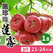 【家購網嚴選】屏東黑珍珠蓮霧 3斤 (21-24顆/盒)