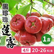 【家購網嚴選】屏東黑珍珠蓮霧 4斤 (20-26顆/盒)