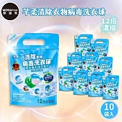 摩達客-芊柔清除衣物病毒洗衣球13入袋裝*10入