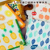 【二入組】日本進口超吸水家事抹布 (知葉+蘋安)