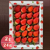 【鮮果爺爺】苗栗壢西坪精裝24粒帝王紅草莓x2盒(360g/盒_產銷履歷驗證)