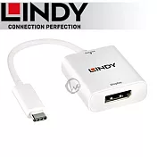 LINDY 林帝 主動式 USB3.1 Type-C to Displayport 轉接器 (43245)
