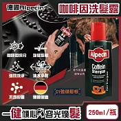 德國Alpecin-強健髮根控油無矽靈咖啡因洗髮凝露250ml/瓶(運動護髮洗髮精,男士調理頭皮洗髮液,0%矽靈保濕滋潤洗頭髮水,油性髮質洗髮乳) C1強健髮根