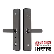 TEW 台熱牌 智能5合1把手式電子鎖/門鎖(H1)(指紋/密碼/卡片/鑰匙/APP遠端開門)(附基本安裝)