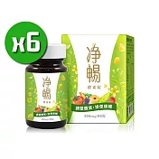 大漢酵素 淨暢酵素錠 x6瓶 (90粒/瓶)