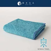 【與水共生】SOLID 細柔蓬韌緞澤長纖迷你浴巾 (多色任選- 淺蔥) | 鈴木太太公司貨
