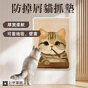 【上手家居】3片組 防掉屑貓抓墊(貓抓/貓抓貼/貓抓板貼牆/防貓抓/防貓抓沙發) 橘貓+虎斑貓+藍貓