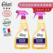 【Tafrishine Pure】法國光澤度 750ML X2入100%天然亞麻籽黑皂多功能清潔除垢凝膠(法國原裝)