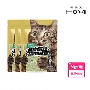 HOMI 凍未條｜瘋喵mini丁(30g) x3包