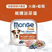 Monge瑪恩吉 倍愛滿滿 主食犬餐盒100g 純肉餐盒 狗罐頭 - 5火雞+藍莓100g x32罐組