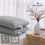 MONTAGUT-冰氣泡涼感乳膠枕/1入/60x40cm高度13cm