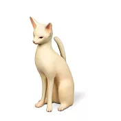 土屋仁応 貓 Kitten A 13/30