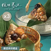【陽明春天】嚴選素粽禮盒(6入)x3盒 5/22~5/29出貨