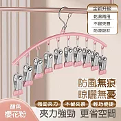 多功能防風晾曬襪夾10夾  (晾衣夾 晾衣架 曬襪架 內衣夾 衣架 吊襪架 毛巾架 襪夾 襪架) 櫻花色