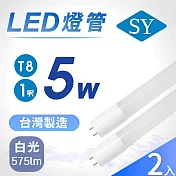 SY聲億科技 1尺T8 5W白光6500K 每瓦/115流明高光效廣角燈管 1尺白光2入組