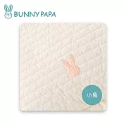 韓國BUNNY PAPA-四季用雙面枕頭 小兔