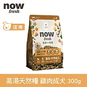 Now! 中型成犬雞肉配方 300克(100克3包替代出貨) 高湯天然糧 | 乾濕兩吃 火雞高湯 中型犬 犬糧 狗糧 WDJ