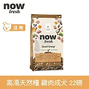 Now! 即期品(效期26.03.29) 中型成犬雞肉配方 22磅(100克100包替代出貨) 高湯天然糧 | 乾濕兩吃 火雞高湯 中型犬 犬糧 狗糧 WDJ