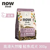 Now! 中型成犬鮭魚配方 300克(100克3包替代出貨) 高湯天然糧 | 乾濕兩吃 火雞高湯 中型犬 犬糧 狗糧 WDJ