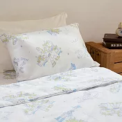 玩具總動員100%天絲單人薄被套