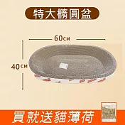 【AOYI奧藝】100%MIT特大號高密度瓦楞紙貓窩貓抓板3入（附贈貓薄荷） 橢圓形/圓形貓窩貓抓板 台灣製造 耐抓不掉屑 橢圓形