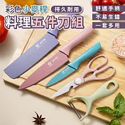 彩色小麥稈料理五件刀組