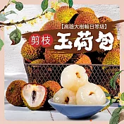 【芳境合作社】玉荷包禮盒 特級(1800g) 06/02~06/09間出貨