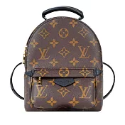 Louis Vuitton Palm Springs Mini Monogram 帆布 (黑色)