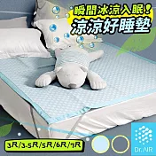 《Dr.Air透氣專家》涼涼好睡墊 標準雙人5尺 150x186cm 瞬間降溫 透氣不悶熱 涼感床墊 涼感蓆 涼墊 床墊 輕便好收納 5尺-棋盤格藍