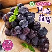 【禾鴻】彰化大村巨峰葡萄2.5斤x6盒(3串/盒_產銷履歷) 下單7個工作天出貨