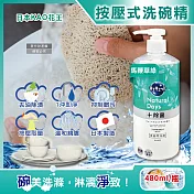 日本KAO花王-珂珂透CUCUTE按壓式去油除漬高效濃縮洗碗精480ml/大瓶(泡沫食器洗滌清潔劑,廚房餐具砧板海綿洗碗劑,食器去汙漬洗潔用品) 馬鞭草綠