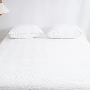 [韓國 Habby&Deco] 極致酷涼SuperCool可水洗抗菌涼感墊 (Q 160 X 210cm) 5尺