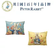 寵愛媽咪限定~【PETER RABBIT 比得兔】腰枕 楓葉+蘿蔔 二件組