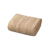 CB Japan carari tricot編織紋系列 超細纖維擦頭巾  典雅棕