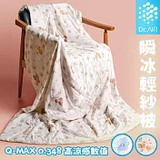 《Dr.Air透氣專家》瞬冰輕紗被 超薄透氣 冰感親膚 夏季好眠神器 涼感被 涼被 冰涼被 夏季被 小花物語