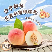 【禾鴻】臺中新社夏蜜水蜜桃禮盒8顆x1盒(3斤/盒 含盒重) 06/09-06/13出貨