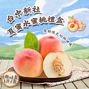 【禾鴻】臺中新社夏蜜水蜜桃禮盒8顆x2盒(3斤/盒 含盒重) 06/09-06/13出貨