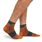 【紐西蘭Icebreaker】男 短筒輕薄毛圈慢跑襪(+) M 橘/灰