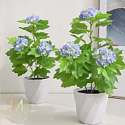 【Floral M】夏日浪漫京都繡球仿真花禮