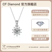 【CF 鑽飾】項鍊《雪夜》莫桑鑽(1克拉 鑽墜)