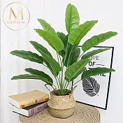 【Floral M】熱帶簡約風家居天堂鳥仿真植栽