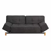 IDEA-百變厚片折疊科技布沙發床(運費另計)