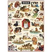 美國 Cavallini & Co. wrap 包裝紙/海報  狗狗2