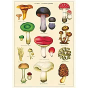 美國 Cavallini & Co. wrap 包裝紙/海報  蕈菇類