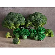 WFP Dacho Farm 北海道農場吊飾鑰匙圈/花椰菜 綠色