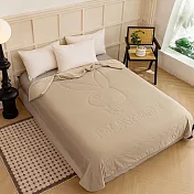 【PLAY BOY】極凍涼感夏日冰冰被 2入(涼被/涼感被/冷氣毯) 櫻花粉