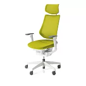 KOKUYO ing 日系機能人體工學辦公椅- 草綠