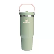 STANLEY 經典系列 IceFlow 手提吸管杯2.0 0.88L / 巖苔綠